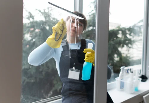 Nettoyage de vitres intérieures et extérieures à Paray-sous-Briailles